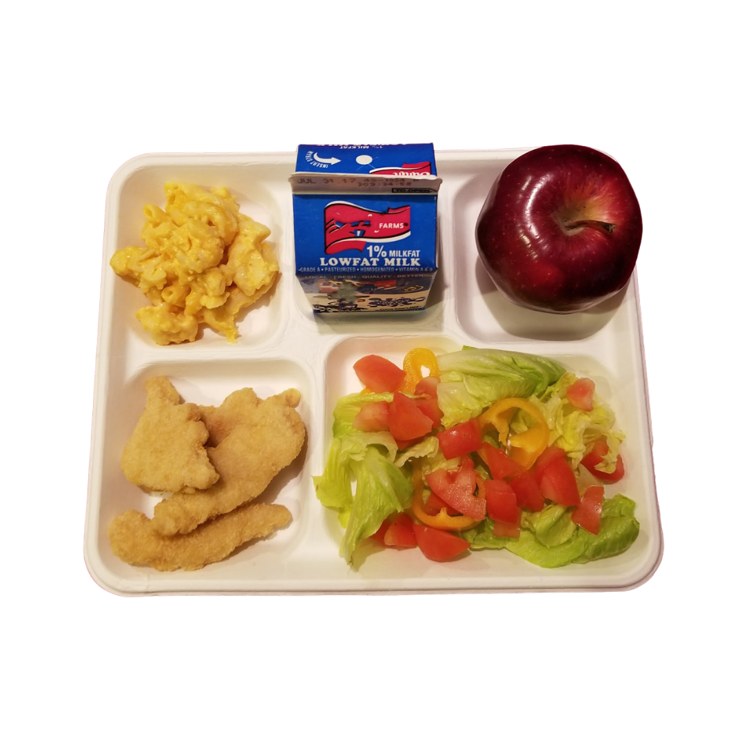 Wallace Packaging® 5 Compartment Fiber School Tray – Compostable & Recyclable, 10" x 8"