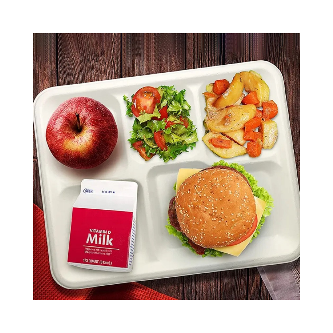 Empress™ 5 Compartment White School Tray