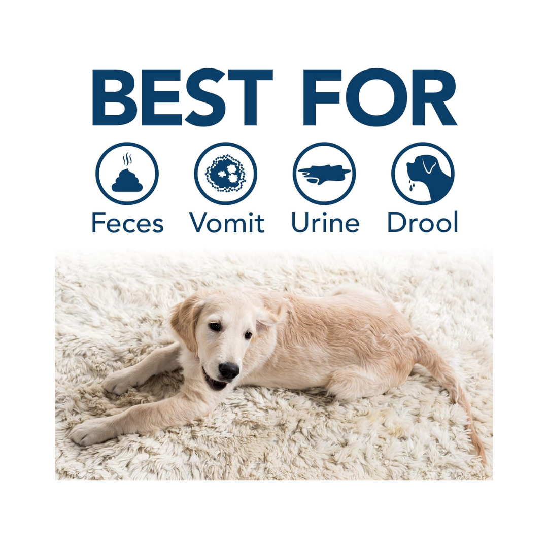 Simple Solution® Stain & Odor Eliminator Spray – 32 oz, Enzyme Cleaner for Pets